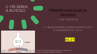 2- VÍA AÉREA
A ALVEOLO
Gómez, W. C. (2022). Fisiología Respiratoria: Lo esencial en la
práctica clínica. Editorial El Manual Moderno.
 