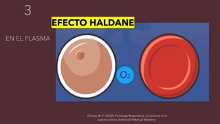 Gómez, W. C. (2022). Fisiología Respiratoria: Lo esencial en la
práctica clínica. Editorial El Manual Moderno.
EFECTO HALDANE
 