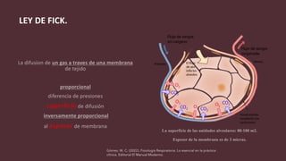 Gómez, W. C. (2022). Fisiología Respiratoria: Lo esencial en la práctica
clínica. Editorial El Manual Moderno.
LEY DE FICK.
 