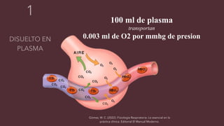 100 ml de plasma
transportan
0.003 ml de O2 por mmhg de presion
Gómez, W. C. (2022). Fisiología Respiratoria: Lo esencial en la
práctica clínica. Editorial El Manual Moderno.
 