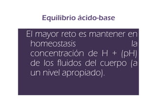 Equilibrio ácido-base

El mayor reto es mantener en
 homeostasis               la
 concentración de H + (pH)
 de los fluidos del cuerpo (a
 un nivel apropiado).
          apropiado)
 