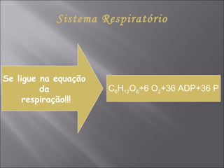 Sistema Respiratório Se ligue na equação  da  respiração!!! C 6 H 12 O 6 +6 O 2 +36 ADP+36 P 