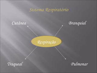 Respiração Cutânea Branquial Traqueal Pulmonar Sistema Respiratório 