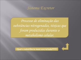 Processo de eliminação das substâncias nitrogenadas, tóxicas que foram produzidas durante o metabolismo celular. Qual a substância mais excretada???? Sistema Excretor 