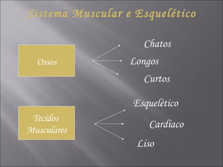 Sistema Muscular e Esquelético Ossos Tecidos  Musculares Chatos Longos Curtos Esquelético Cardíaco Liso 