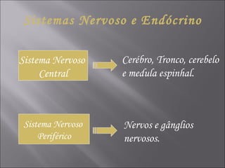 Sistemas Nervoso e Endócrino Sistema Nervoso  Central Sistema Nervoso  Periférico Cerébro, Tronco, cerebelo e medula espinhal. Nervos e gânglios nervosos. 