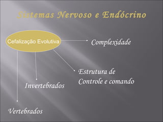 Sistemas Nervoso e Endócrino Cefalização Evolutiva Complexidade Estrutura de Controle e comando Invertebrados Vertebrados 