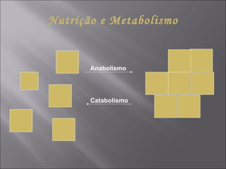 Nutrição e Metabolismo Anabolismo Catabolismo 