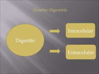 Digestão Intracelular Extracelular Sistema  Di g estório 