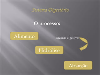 Alimento Hidrólise Absorção Enzimas digestivas O processo: Sistema Digestório 