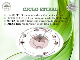 Proestro Fisiologia animal | PPTX