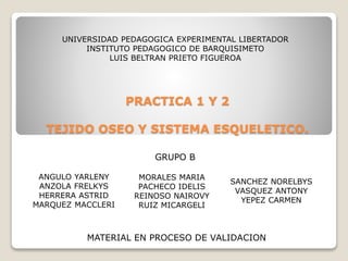 PRACTICA 1 Y 2
TEJIDO OSEO Y SISTEMA ESQUELETICO.
UNIVERSIDAD PEDAGOGICA EXPERIMENTAL LIBERTADOR
INSTITUTO PEDAGOGICO DE BARQUISIMETO
LUIS BELTRAN PRIETO FIGUEROA
MATERIAL EN PROCESO DE VALIDACION
GRUPO B
ANGULO YARLENY
ANZOLA FRELKYS
HERRERA ASTRID
MARQUEZ MACCLERI
MORALES MARIA
PACHECO IDELIS
REINOSO NAIROVY
RUIZ MICARGELI
SANCHEZ NORELBYS
VASQUEZ ANTONY
YEPEZ CARMEN
 
