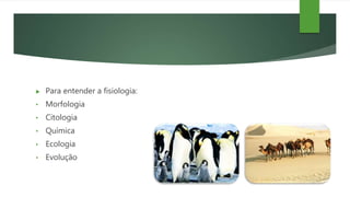  Para entender a fisiologia:
• Morfologia
• Citologia
• Química
• Ecologia
• Evolução
 