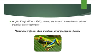  August Krogh (1874 - 1949): pioneiro em estudos comparativos em animais
Respiração e equilíbrio eletrolítico
“Para muitos problemas há um animal mais apropriado para ser estudado“
 