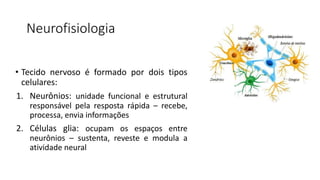 Neurofisiologia
• Tecido nervoso é formado por dois tipos
celulares:
1. Neurônios: unidade funcional e estrutural
responsável pela resposta rápida – recebe,
processa, envia informações
2. Células glia: ocupam os espaços entre
neurônios – sustenta, reveste e modula a
atividade neural
 
