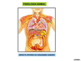 FISIOLOGIA ANIMAL

ASPECTO INTERNO DO ORGANISMO HUMANO
LEONEL

 