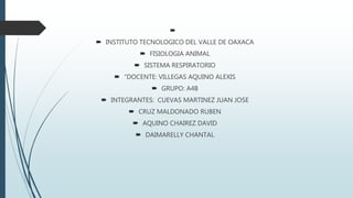 
 INSTITUTO TECNOLOGICO DEL VALLE DE OAXACA
 FISIOLOGIA ANIMAL
 SISTEMA RESPIRATORIO
 “DOCENTE: VILLEGAS AQUINO ALEXIS
 GRUPO: A4B
 INTEGRANTES: CUEVAS MARTINEZ JUAN JOSE
 CRUZ MALDONADO RUBEN
 AQUINO CHAIREZ DAVID
 DAIMARELLY CHANTAL
 