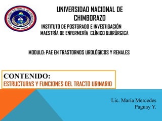 UNIVERSIDAD NACIONAL DE
CHIMBORAZO
INSTITUTO DE POSTGRADO E INVESTIGACIÓN
MAESTRÍA DE ENFERMERÍA CLÍNICO QUIRÚRGICA
MODULO: PAE EN TRASTORNOS UROLÓGICOS Y RENALES A:
PANCREATITISEN

CONTENIDO:

ESTRUCTURAS Y FUNCIONES DEL TRACTO URINARIO
Lic. María Mercedes
Paguay Y.

 