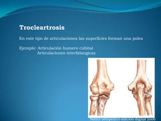 CLASIFICACION DE LAS SINDESMOSISArticulaciones verdaderasSon articulaciones en donde las superficies articulares están recubiertas de cartílago y el medio de unión son ligamentosEjemplo: Articulación tibio peroneal distal.               Articulación cuerpos vertebrales