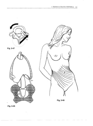 3. TRONCO E COLUNA VERTEBRAL   105




Fig.3-47




                  Fig.3-49


Fig.3-48
 