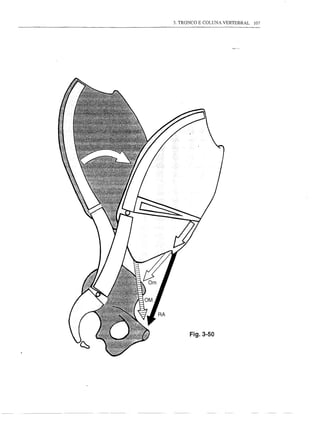 3. TRONCO E COLUNA VERTEBRAL   107




      Fig.3-50
 