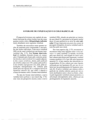 122 FISIOLOGIA ARTICULAR




               o FORAME DE CONJUGAÇÃO                    E O COLO RADICULAR


    É impossível terminar este capítulo de ana-       vertebral (NE), situado em princípio no interior
tomia funcional da coluna lombar sem dar umas         do saco dural (3), aproxima-se da parede medial
quantas noções sobre a fisiopatologia radicular       deste (4) para perfurá-Ia no nível do colo radi-
muito abundante neste segmento vertebral.             cular (5) que representa um ponto fixo, ponto de
      Também são necessárias umas quantas no-         passagem obrigatório do nervo vertebral onde fi-
ções de anatomia para compreender o mecanis-          cará fixo pelo saco dural.
mo das lesões radiculares. Cada nervo vertebral             Em vista superior (fig. 3-75), novamente se
(NE) sai do canal vertebral por um forame inter-      encontram todas estas ligações entre o eixo ner-
vertebral (fig. 3-73). Este forame interverte-        voso e o canal vertebral. A medula, envolvida
bral (2) (também chamado forame de conjun-            pelo saco dural (4), está alojada no canal verte-
ção) é limitado pela frente pelo contorno poste-      bral coberto pela frente pelo ligamento vertebral
rior do disco intervertebral (1) e a parte adjacen-   comum posterior (12) e por trás pelo ligamento
te dos corpos vertebrais, abaixo, pelo pedículo       amarelo (7). A face anterior das articulações in-
da vértebra subjacente (10); acima, pelo pedícu-      terapofisárias (9) fica coberta por uma cápsula,
Ia da vértebra suprajacente (11); atrás, pelas ar-    reforçada por um ligamento (8), por sua vez co-
ticulações interapofisárias (9), cobertas pela        berto por um prolongamento do ligamento ama-
frente pela sua cápsula (8) e a margem lateral do     relo (6). O nervo vertebral, que repousa sobre o
ligamento amarelo (6), que cobre a cápsula e          pedículo da vértebra inferior, passa por um es-
avança levemente sobre o forame intervertebral.       treito desfiladeiro entre o disco na frente, cober-
      Na área do forame intervertebral, o nervo       to pelo ligamento vertebral comum posterior, e a
vertebral deve perfurar o saco dural (fig. 3-74):     articulação interapofisária atrás, coberta por um
esta vista em perspectiva mostra como o nervo         prolongamento do ligamento amarelo.
 