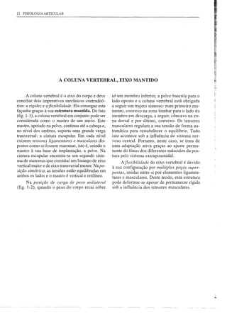 12   FISIOLOGIA   ARTICULAR




                         A COLUNA VERTEBRAL, EIXO MANTIDO


      A coluna vertebral é o eixo do corpo e deve     só um membro inferior, a pelve bascula para o
conciliar dois imperativos mecânicos contraditó-      lado oposto e a coluna vertebral está obrigada
rios: a rigidez e aflexibilidade. Ela consegue esta   a seguir um trajeto sinuoso: num primeiro mo-
façanha graças à sua estrutura mantida. De fato       mento, convexo na zona lombar para o lado do
(fig. 1-1), a coluna vertebral em conjunto pode ser   membro em descarga, a seguir, côncavo na zo-
considerada como o mastro de um navio. Este           na dorsal e por último, convexo. Os tensores
mastro, apoiado na pelve, continua até a cabeça e,    musculares regulam a sua tensão de forma au-
no nível dos ombros, suporta uma grande verga         tomática para restabelecer o equilíbrio. Tudo
transversal: a cintura escapular. Em cada nível       isto acontece sob a influência do sistema ner-
existem tensores ligamentares e musculares dis-       voso central. Portanto, neste caso, se trata de
postos como se fossem maromas, isto é, unindo o       uma adaptação ativa graças ao ajuste perma-
mastro à sua base de implantação, a pelve. Na         nente do tônus dos diferentes músculos da pos-
cintura escapular encontra-se um segundo siste-       tura pelo sistema extrapiramidal.
ma de maromas que constitui um losango de eixo             Aflexibilidade do eixo vertebral é devido
vertical maior e de eixo transversal menor. Na po-    à sua configuração por múltiplas peças super-
sição simétrica, as tensões estão equilibradas em     postas, unidas entre si por elementos ligamen-
ambos os lados e o mastro é vertical e retilíneo.
                                                      tares e musculares. Deste modo, esta estrutura
      Na posição de carga de peso unilateral          pode deformar-se apesar de permanecer rígida
(fig. 1-2), quando o peso do corpo recai sobre        sob a influência dos tens ores musculares.
 