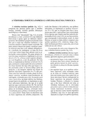 132 FISIOLOGIA ARTICULAR




    A VÉRTEBRA         TORÁCICA        PADRÃO E A DÉCIlVIA SEGUNDA TORÁCICA


    A vértebra torácica padrão (fig. 4-2) é          união das lâminas e dos pedículos, nas apófises
composta das mesmas partes que a vértebra            articulares, se implantam as apófises transver-
lombar; contudo, existem grandes diferenças          sas (9 e 11); que se dirigem para fora e leve-
morfológicas e funcionais.                           mente para trás, e apresentam uma extremidade
       Numa vista "desarmada" (fig. 4-1), se pode    livre e grossa, que contém uma face articular de-
reconhecer o corpo vertebral (1) cujo diâmetro       nominadafóvea costal (10), na sua face anterior,
transversal é quase igual ao diâmetro ântero-        que corresponde à tuberosidade costa!. As duas
posterior. Ele também é proporcionalmente mais       lâminas se unem na linha média e originam uma
alto que o corpo das vértebras lombares; o seu       apófise espinhosa (12), volumosa, longa e bas-
contorno anterior e lateral é muito escavado. Na     tante inclinada para baixo e para trás, com só um
                                                     tubérculo no seu vértice.
parte póstero-lateral dos platôs vertebrais pode-
se observar uma face oval, talhada obliquamen-           A associação de todos estes elementos for-
te e recoberta de cartilagem: se trata da fóvea      ma a vértebra torácica padrão (fig. 4-2).
costal que vamos tratar mais adiante com as ar-           A última vértebra torácica (décima segun-
ticulações costovertebrais. Na parte póstero-Ia-     da torácica), vértebra de transição com a coluna
teral do corpo vertebral se implantam os dois pe-    lombar, apresenta algumas particularidades:
dículos (2 e 3), a fóvea costal superior ultrapas-
sa, com freqüência, a raiz do pedículo. Por trás          -   em primeiro lugar, o seu corpo vertebral
deste, se implantam as lâminas vertebrais (4 e 5)             só possui duas faces costais situadas na
que constituem a maior parte dos arcos posterio-              parte póstero-Iateral do platá superior,
res. Estas lâminas são mais altas que largas e es-            em direção à cabeça da décima segunda
tão inclinadas como se fossem telhas; perto do                costela;
pedículo, a sua margem superior dá origem às              -   em segundo lugar, se as apófises articu-
apófises articulares superiores (6 e 7), que pos-             lares superiores estão orientadas como
 suem uma face articular ovalada, plana ou leve-              as de todas as vértebras torácicas, para
mente convexa, recoberta transversalmente de                  trás e levemente para cima e para fora, as
 cartilagem, orientada para trás, levemente para              faces articulares devem corresponder às
 cima e para fora; na parte inferior das lâminas,             faces superiores da primeira vértebra
 sempre perto do pedículo, se implantam as apó-               lombar. Portanto, a direção é a mesma
 fises articulares inferiores, das que só se pode             que a das faces inferiores de todas as
 apreciar aqui o processo direito (8). Na sua face            vértebras lombares; isto é, orientadas
 anterior elas apresentam uma face articular oval,            parafora e para afrente e com uma cur-
 plana ou levemente côncava, orientada trans-                 vatura transversal levemente convexa
 versalmente para a frente e levemente para bai-              que se inscreve numa mesma superfície
xo e para dentro. Estas faces se articulam com                cilíndrica, cujo eixo se situa aproxima-
 as faces superiores da vértebra subjacente. Na               damente na origem da apófise espinhosa.
 