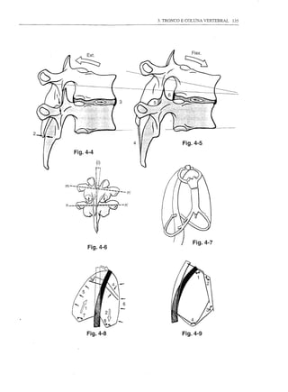 3. TRONCO E COLUNA VERTEBRAL   135




                          Fig.4-5
Fig.4-4
          (i)




                              Fig.4-7
     Fig.4-6




    Fig.4-8               Fig.4-9
 