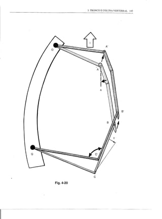 3. TRONCO E COLUNA VERTEBRAL   145




                                    8'




               c
Fig.4-20
 
