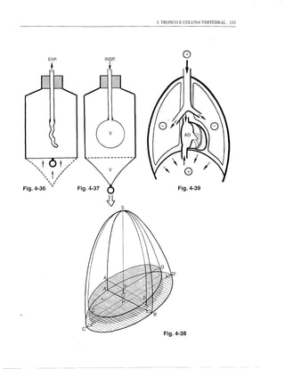 3. TRONCO E COLUNA VERTEBRAL   155




EXP.              INSP.
                                         G
 t                 t                        J




       Fig.4-37                        Fig.4-39


                          S




                                 Fig.4-38
 