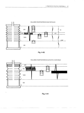 3. TRONCO E COLUNA VERTEBRAL   157




         VOLUMES   RESPIRATÓRIOS   EM REPOUSO




                                                      CI

                                            CV




          db                                           CRF

          "lCJ
    VR
o



                    Fig.4-40



         VOLUMES   RESPIRATÓRIOS   DURANTE O ESFORÇO

4




                                                 I,
                                                 "
                                                 .,
                                                 •
                                                 •
    VR
o




                          Fig.4-41
 