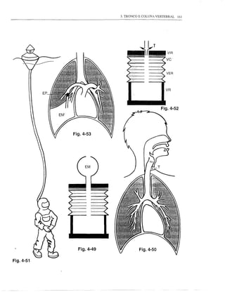 3. TRONCO E COLUNA VERTEBRAL   161




                                                      VR
           EP.




                                                   Fig.4-52




                 Fig.4-53




                   Fig.4-49             Fig.4-50

Fig.4-51
 