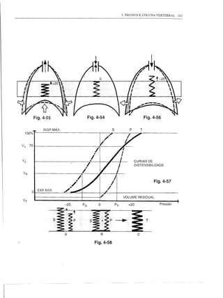 3. TRONCO E COLUNA VERTEBRAL   163




                            T


A      B

    Fig.4-58
 