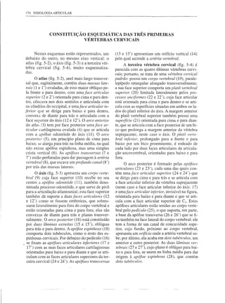 174   FISIOLOGIA   ARTICULAR




                CONSTITUIÇÃO ESQUEMÁ TICA DAS TRÊS PRIMEIRAS
                            VÉRTEBRAS CERVICAIS


       Nestes esquemas estão representados, um           (13 e 13') apresentam um orifício vertical (14)
 debaixo do outro, no mesmo eixo vertical: o             pelo qual ascende a artéria vertebral.
 atlas (fig. 5-2), o áxis (fig. 5-3) e a terceira vér-         A terceira vértebra cervical (fig. 5-4) é
 tebra cervical (fig. 5-4), muito esquematiza-           parecida com as quatro últimas vértebras cervi-
 das.
                                                         cais; portanto, se trata de uma vértebra cervical
        O atlas (fig. 5-2), anel mais largo transver-    padrão: possui um corpo vertebral (19), parale-
  sal que, sagitalmente, contém duas massas late-        lepípedo retangular alongado transversalmente;
  rais (1 e 1') ovaladas, de eixo maior oblíquo pe-      a sua face superior comporta um platá vertebral
  la frente e para dentro, com uma face articular        superior (20) limitada lateralmente pelos pro-
  superior (2 e 2') orientada para cima e para den-      cessos unciformes (22 e 22'), cuja face articular
  tro, côncava nos dois sentidos e articulada com        está orientada para cima e para dentro e se arti-
  os côndilos do occipital, e umaface articular in-      cula com as superfícies situadas em ambos os la-
 ferior que se dirige para baixo e para dentro,          dos do platô inferior do áxis. A margem anterior
  convexa de diante para trás e articulada com a         do platô vertebral superior também possui uma
  face superior do áxis (12 e 12'). O arco anterior      superfície (21) orientada para cima e para dian-
  do atlas (3) tem por face posterior uma face ar-       te, que se articula com a face posterior de um bi-
  tiCldar cartilaginosa ovalada (4) que se articula      co que prolonga a margem anterior da vértebra
  com a apófise odontóide do áxis (11). O arco           suprajacente, neste caso o áxis. O platá verte-
 posterior (5), em princípio plano de cima para          bral inferior, prolongado para a frente e para
  baixo, se alarga para trás na linha média, na qual     baixo por um bico proeminente, é rodeado de
  não existe apófise espinhosa, mas uma simples          cada lado por duas faces articulares da articula-
  crista vertical (6). As apófises transversas (7 e      ção uncovertebral, orientadas para baixo e para
  7') estão perfuradas para dar passagem à artéria       fora.
  vertebral (8), que escava um profundo canal (8')             O arco posterior é formado pelas apófises
  por trás das massas laterais.                          articulares (23 e 23'), cada uma das quais con-
        O áxis (fig. 5-3) apresenta um corpo verte-      tém uma face articular superior (24 e 24') que
  bral (9) cuja face superior (10) recebe no seu         se dirige para cima e para trás e se articula com
  centro a apófise odontóide (11), também deno-          a face articular inferior da vértebra suprajacente
  minada processo odontóide, e que serve de pivô         (neste caso a face articular inferior do áxis: 17)
  para a articulação atlantoaxial; esta face superior    e umaface articular inferior, invisível na figura,
  também dá suporte a duas faces articulares (12         orientada para baixo e para diante e que se arti-
  e 12') como se fossem ombreiras, que sobres-           cula com a face articular superior de C4• Estas
  saem lateralmente para fora do corpo vertebral e       apófises articulares estão unidas ao corpo verte-
  estão orientadas para cima e para fora; elas são       bral pelo pedículo (25), o que suporta, em parte,
  convexas de diante para trás e planas transver-        a base da apófise transversa (26 e 26') que se fi-
  salmente. O arco posterior (16) está constituído       xa também na face lateral do corpo vertebral: ele
  por duas lâminas estreitas (15 e 15'), oblíquas        tem a forma de um canal de concavidade supe-
  para trás e para dentro. A apófise espinhosa (18)      rior, cujo fundo, próximo ao corpo vertebral,
  comporta dois tubérculos, como o resto das es-         apresenta um orifício onde a artéria vertebral so-
  pinhosas cervicais. Por debaixo do pedículo (16)       be; por último, ela acaba em dois tubérculos, um
) se fixam as apófises articulares inferiores (17 e      anterior e outro posterior. As duas lâminas ver-
   17') com as suas faces articulares cartilaginosas     tebrais (27 e 27'), cujo plano é oblíquo para bai-
  orientadas para baixo e para diante e que se arti-     xo e para fora, se unem na linha média para dar
  culam com as faces articulares superiores da ter-      origem à apófise espinhosa (28), que contém
  ceira cervical (24 e 24'). As apófises transversas     dois tubérculos.
 