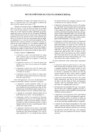 188 FISIOLOGIA      ARTICULAR




                         OS LIGAMENTOS DA COLUNA SUBOCCIPITAL


      Os ligamentos da coluna suboccipital são muito nu-                  do processo basilar até a margem superior e a fa-
merosos e potentes (fig. 5-25. corte sagital; os números de               ce anterior do arco anterior do atlas;
referéncia são comuns até a figura 5-33).
                                                                      -   o ligamento atlantoaxoidiano anterior (16) prolon-
       Vejamos, em primeiro lugar, os elementos ósseos: de                ga o ligamento atlantooccipital anterior para baixo.
cima para baixo, o corte do processo basilar do occipital                 Estende-se da margem inferior do arco do atlas até
(b); o corte do arco anterior (e) do atlas e do seu arco pos-             a face anterior do corpo do áxis. Deste modo se
terior (O; o corte sagital da apófise odontóide (g) prolon-               constitui, pela frente da apófise odontóide e do liga-
gando para cima o corpo do áxis (k). Na apófise odontóide,                mento occípito-odontóide médio e por trás dos liga-
a face articular anterior (h) em contato com a face articular             mentos atlantooccipital médio e atlantoaxóideo mé-
posterior U) do arco anterior do atlas; a face articular pos-             dio, um espaço célulo-adiposo que contém a articu-
terior (i). O resto do áxis está representado pela sua apófi-             lação atlantoodontóide e a sua cápsula (17);
se espinhosa (n) e o corte de sua lâmina esquerda (o). De-
baixo do áxis, a terceira vértebra cervical com a secção sa-          -   o ligamento vertebral comum anterior (ligamento
gital do seu corpo vertebral (q). a sua apófise espinhosa (s)             longitudinal anterior) (18) recobre todo este con-
e a secção parassagital da sua lâmina esquerda (r). Em                    junto pela frente e se insere na face inferior do
perspectiva, a fossa cerebelar por cima do forame magno e                 processo basilar do occipital, passa como se fosse
uma parte do côndilo occipital direito, assim como, abaixo,               uma ponte, pela frente do arco anterior do atlas,
a metade direita do arco posterior do atlas, do áxis e de C,.             onde não se insere, para fixar-se depois na face
                                                                          anterior do corpo do áxis (18'). A seguir, se pro-
      A seguir, vejamos os ligamentos:                                    longa por toda a face anterior da coluna vertebral
      -   o ligamento occípito-odol1tóide médio (1). muito                até o sacro para inserir-se, em cada nível, na mar-
          curto e espesso, que se estende verticalmente en-               gem anterior dos discos intervertebrais (18") e na
          tre o processo basilar do occipital e o vértice da              face anterior dos corpos vertebrais (18"').
          apófise odontóide;                                           Os arcos posteriores estão unidos pelos ligamentos
      -   o ligamento trans'erso (3). visto em secção, em       seguintes:
          contato com a face articular posterior da apófise           -   o ligamento atlantooccipital posterior (19), tam-
          odontóide (i):
                                                                          bém denominado membrana atlantooccipital, une
      -   o ligamento occípito-trans'erso (4). entre a mar-              a margem posteri<;>rdo forame magno ao arco
          gem superior do ligamento transverso e o proces-                posterior do atlas. E o equivalente de um ligamen-
          :'0 basilar do occipita!:                                       to amarelo e apresenta um orifício por trás das
      -   o ligamento tral1s'ersoaxoidiano (5). entre a mar-             massas laterais do atlas, onde a artéria occipital
          gem inferior do ligamento transverso e a face pos-              penetra e por onde o primeiro nervo cervical sai;
          terior do corpo do áxis.                                    -   o ligamento atlantoaxóideo posterior (21), mem-
       Estes três ligamentos: tranS'erso, occípito-transverso            brana atlantoaxial, que une os arcos posteriores
e transversoaxoidiano formam o ligamento crucifol7ne.                     do atlas e do áxis como se fosse um ligamento
                                                                          amarelo; atrás da articulação existe um orifício
      -   o ligamento occípito-axoidiano médio (7). por                   por onde sai o segundo nervo cervical;
          trás do ligamento cruciforme, se estende do pro-
          cesso basilar até a face posterior do corpo do áxis.        -   um ligamento interespinhal (22) une o arco poste-
          Ele prolonga-se lateralmente pelos ligamentos oc-               rior do atlas com a apófise espinhosa do áxis, e
          cípito-axoidianos laterais, invisíveis neste corte;             depois, por baixo, com as apófises espinhosas das
                                                                          vértebras cervicais entre si;
      -   a cápsula da articulação atlantooccipital (9) se
          pode observar no fundo. Ústa em perspectia;                -   o ligamento cervical posterior (23), septo fibroso
                                                                          muito espesso, equivale a um ligamento supra-es-
      -   o ligamento vertebral comum posterior (ligamen-
                                                                          pinhal; se insere, acima, na escama occipital, no
          to longitudinal posterior) (12), situado atrás dos
                                                                          nível da linha média, e separa as massas muscula-
          ligamentos occípito-axoidianos médios e laterais,
                                                                          res da nuca em duas metades direita e esquerda;
          se insere no sulco do processo basilar e sobre a
          margem inferior do áxis e se prolonga por toda a            -   a cápsula da articulação interapofisáría (24), entre
          coluna até o canal sacra!:                                      o áxis e a terceira cervical, limita o forame interver-
                                                                          tebral por trás, por onde sai o terceiro nervo cervical;
      ~ o ligamento atlantooccipital anterior, localizado
        na frente do ligamento occípito-odontóide médio,              -   um ligamento amarelo (29) une o arco posterior
        formado por uma lâmina profunda (13) e uma lâ-                    do áxis com o arco posterior da terceira vértebra
        mina superficial (14). se estende da face inferior                cervical.
 