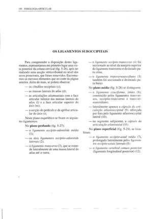 190 FISIOLOGIA ARTICULAR




                              OS LIGAMENTOS SUBOCCIPITAIS


      Para compreender a disposição destes liga-            -   o ligamento occípito-transverso (4) foi
mentos, representamos em primeiro lugar uma vis-                seccionado ao nível da margem superior
ta posterior da coluna cervical (fig. 5-26), após ter           do ligamento transverso e deslocado pa-
realizado uma secção vértico-frontal no nível dos               ra Cima;
arcos posteriores, que foram removidos. Encontra-           -   o ligamento transversoaxoidiano (5)
mos os mesmos elementos que no corte da página                  também foi seccionado e deslocado pa-
anterior. Além do mais, se podem observar:                      ra baixo.
     -   os côndilos occipitais (c);                        No plano médio (fig. 5-28) se distinguem:
     -   as massas laterais do atlas (d);                   -   o ligamento cruciforme, intato (6),
     -   as articulações atlantoaxiais com a face               constituído pelos ligamentos transver-
         articular inferior das massas laterais do              sos, occípito-transverso   e transver-
         atlas (1) e a face articular superior do               soaxoidiano;
         áxis (m);                                          -lateralmente     aparece a cápsula da arti-
     -   a secção do pedículo e da apófise articu-              culação atlantooccipital (9) reforçada
         lar do áxis (t);                                       por fora pelo ligamento atlantooccipital
                                                                lateral (10);
      Neste plano esquelético se fixam os seguin-
tes ligamentos:                                             - no segmento subjacente, a cápsula da
     No plano profundo (fig. 5-27):                           articulação atlantoaxial (11).
     -   o ligamento occípito-odontóide médio                No plano superficial (fig. 5-29), se loca-
                                                        lizam:
         (1);
     -   os dois ligamentos occípito-odontóide              -   o ligamento occípito-axial médio (7),
         laterais (2);                                          prolongado lateralmente pelos ligamen-
                                                                tos occípito-axiais laterais (8);
     -   o ligamento transverso (3), que se esten-
         de lateralmente de uma massa lateral do            -   o ligamento vertebral comum posterior
         atlas até a outra;                                     (ligamento longitudinal posterior) (12).
 