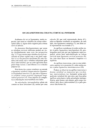 196 FISIOLOGIA ARTICULAR




               OS LIGAMENTOS DA COLUNA CERVICAL INFERIOR


      Acabamos de ver os ligamentos, muito es-       cápsula (6) que está representada aberta (6');
peciais, que unem as vértebras da coluna suboc-      entre as lâminas vertebrais se estendem, de cada
cipital entre si; alguns deles seguem pela coluna    lado, uns ligamentos amarelos (7); um deles es-
cervical inferior.                                   tá representado seccionado (7').
      Os elementos fibroligamentares que unem              As apófises espinhosas (j) estão unidas en-
as vértebras cervicais inferiores podem ser vis-     tre si pelos ligamentos interespinhais (8), pro-
tos detalhadamente num corte em perspectiva          longados para trás por um ligamento supra-es-
(fig. 5-37) que mostra uma vértebra cervical sec-    pinhal, muito bem individualizado na coluna
cionada no plano sagital com o seu platô supe-       cervical num ligamento cervical posterior (9);
rior (a) e o seu processo unciforme (b); esta vér-   nas suas duas faces se inserem o trapézio e o
tebra está unida com a vértebra subjacente pelo      esplênio.
disco intervertebral, que no corte apresenta duas          As apófises transversas, com os seus tubér-
partes bem visíveis: o anel fibroso (1) e o núcleo   culos anterior (e) e posterior (f), estão unidas en-
pulposo (2).                                         tre si pelos ligamentos intertransversos (10).
     Pela frente dos corpos vertebrais se estende           Podem-se observar na apófise transversa o
o ligamento vertebral comum anterior (ligamen-       forame vertebral ou transverso (g) e os fora-
to longitudinal anterior) (3), por trás o ligamen-    mes intervertebrais (y), limitados acima pelo
to vertebral comum posterior (ligamento longi-        pedículo vertebral (h), por trás e por fora pelas
tudinal posterior) (4). Uma cápsula (5) comple-       apófises articulares e pela articulação interapo-
ta as articulações uncovertebrais nos lados.          fisária, pela frente e por dentro, pelo corpo ver-
     As articulações interapofisárias põem em         tebral, pelo disco intervertebral (1) e pelo pro-
contato as faces articulares (d), unidas por uma      cesso unciforme (b).
 