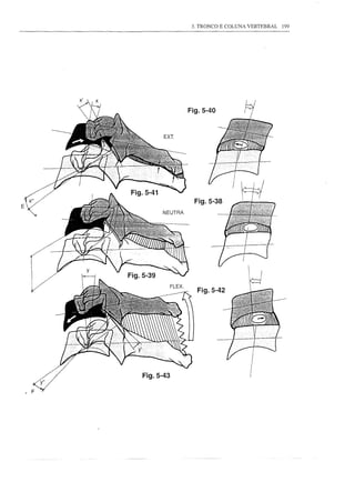 3. TRONCO E COLUNA VERTEBRAL   199




                        Fig.5-40


               EXT.




    Fig.5-41
E
                          Fig.5-38
               NEUTRA




                           Fig.5-42




       Fig.5-43
 
