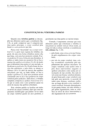 20   FISIOLOGIA ARTICULAR




                         CONSTITUIÇÃO DA VÉRTEBRA PADRÃO


      Quando uma vértebra padrão se decom-           geralmente   nas duas partes ao mesmo tempo.
põe nas diferentes partes que a constituem (fig.           Contudo, é importante constatar que estas
1-9), se pode comprovar que é composta por           diferentes partes que constituem a vértebra se
duas partes principais: o corpo vertebral pela       relacionam no sentido vertical. Deste modo, ao
frente e o arco posterior por trás.                  longo de toda a coluna vertebral, se estabelecem
      Numa vista "desarmada" (a), o corpo verte-     três colunas (fig. 1-10):
bral (1) é a parte mais espessa da vértebra: em
                                                          -   pela frente, uma coluna principal forma-
geral, ela tem uma forma cilíndrica menos alta
                                                              da pelo empilhamento dos corpos verte-
que larga, com uma face posterior cortada. O ar-
                                                              brais;
co posterior (2) tem a forma de uma ferradura. A
ambos os lados deste arco posterior (b) se fixa o         -   por trás do corpo vertebral, duas colu-
maciço elas apófises articulares (3 e 4); de moelo            nas secundárias constituídas pelo em-
que se delimitam duas partes (c): por um lado, se             pilhamento das apófises articulares. Os
localizam os pedículos (8 e 9) pela frente elo ma-            corpos vertebrais estão unidos entre si
ciço elas articulares; e pelo outro, se situam as             pelo disco intervertebral; enquanto as
lâminas (10 e 11) atrás do maciço das apófises                apófises articulares estão unidas por ar-
articulares; por trás, na linha média, se fixa a              ticulações de tipo artródia. Em cada ní-
apófise espinhosa (7). Este arco posterior assim              vel existe um forame vertebral delimita-
constituído une-se (d) à face posterior do corpo              do pela frente pelo corpo vertebral e por
vertebral pelos pedículos. Além disso, a vértebra             trás pelo arco posterior. A sucessão de
completa comporta as apófises transversas (5 e                todos estes forames vertebrais confor-
6) que se unem com o arco posterior quase no                  ma, ao longo de todo o eixo vertebral, o
nível do maciço das apófises articulares.                     canal vertebral, formado alternadamen-
     Esta    vértebra padrão se localiza em todos             te por partes ósseas, em cada vértebra, e
os níveis   da coluna vertebral, claro que com im-            por partes ligamentares, entre as vérte-
portantes    modificações que podem ver-se tanto              bras no nível do disco intervertebral e
no corpo     vertebral quanto no arco posterior, e            dos ligamentos   do arco posterior.
 