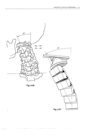 3. TRONCO E COLUNA VERTEBRAL   213




Fig.5-58




           Fig.5-57
 
