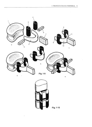 3. TRONCO E COLUNA VERTEBRAL   21




            4




                                        9


                     6




a
        5
                                                c




                 b




                Fig.1-9
    d
                                            e




                          Fig.1-10
 