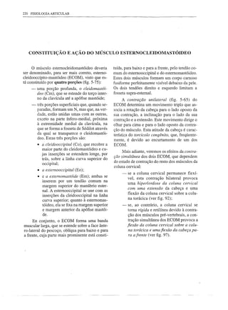 220 FISIOLOGIA ARTICULAR




   CONSTITUIÇÃO E AÇÃO DO MÚSCULO ESTERNOCLEIDOMASTÓIDEO


    o   músculo estemoc1eidomastóideo deveria       tuída, para baixo e para a frente, pelo tendão co-
ser denominado, para ser mais correto, estemo-      mum do estemooccipital e do estemomastóideo.
c1eidooccípito-mastóideo (ECOM), visto que es-      Estes dois músculos formam um corpo camoso
tá constituído por quatro porções (fig. 5-75):      fusiforme perfeitamente visível debaixo da pele.
    -   uma porção profunda, o cleidomastói-        Os dois tendões direito e esquerdo limitam a
        deo (Cm), que se estende do terço inter-    fosseta supra-estemal.
        no da clavícula até a apófise mastóide;           A contração unilateral (fig. 5-65) do
    -   três porções superficiais que, quando se-   ECOM determina um movimento triplo que as-
        paradas, formam um N, mas que, na ver-      socia a rotação da cabeça para o lado oposto da
        dade, estão unidas umas com as outras,      sua contração, a inclinação para o lado da sua
        exceto na parte ínfero-medial, próxima      contração e a extensão. Este movimento dirige o
        à extremidade medial da clavícula, na       olhar para cima e para o lado oposto da contra-
        que se forma a fosseta de Sédilot através   ção do músculo. Esta atitude da cabeça é carac-
        da qual se transparece o cleidomastói-      terística do torcicolo congênito, que, freqüente-
        deo. Estas três porções são:                mente, é devido ao encurtamento de um dos
        • a cleidooccipital (Co), que recobre a     ECOM.
          maior parte do cleidomastóideo e cu-           Mais adiante, veremos os efeitos da contra-
          jas inserções se estendem longe, por
                                                    ção simultânea dos dois ECOM, que dependem
          trás, sobre a linha curva superior do
                                                    do estado de contração do resto dos músculos da
          occipital;
                                                    coluna cervical:
        • a estemooccipital (Eo);
                                                         -   se a coluna cervical permanece flexí-
        • e a estemomastóide (Em); ambas se
                                                             vel, esta contração bilateral provoca
          inserem por um tendão comum na
                                                             uma hiperlordose da coluna cervical
          margem superior do manúbrio ester-
                                                             com uma extensão da cabeça e uma
          nal. A estemooccipital se une com as               flexão da coluna cervical sobre a colu-
          inserções da cleidooccipital na linha
          curva superior; quanto à estemomas-                na torácica (ver figo 92);
          tóideo, ela se fixa na margem superior         -    se, ao contrário, a coluna cervical se
          e margem anterior da apófise mastói-                toma rígida e retilínea devido à contra-
          de.                                                 ção dos músculos pré-vertebrais, a con-
     En conjunto, o ECOM forma uma banda                      tração simultânea dos ECOM provoca a
muscular larga, que se estende sobre a face ânte-            fiexão da coluna cervical sobre a colu-
ro-Iateral do pescoço, oblíqua para baixo e para              na torácica e umafiexão da cabeça pa-
a frente, cuja parte mais prominente está consti-             ra afrente (ver figo 97).
 