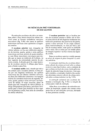 226 FISIOLOGIA ARTICULAR




                                 OS MÚSCULOS PRÉ- VERTEBRAIS:
                                        OS ESCALENOS

         Os músculos escalenos são três e se esten-              O escaleno posterior (ep) se localiza por
    dem sobre a face ântero-Iateral da coluna cer~         trás dos escalenos anterior e médio; ele se inse-
    vical corno se fossem verdadeiras    maromas           re acima através de três lingüetas tendinosas nos
    musculares (fig. 5-68); eles unem as apófises          tubérculos posteriores das transversas da quarta,
    transversas cervicais   com a primeira e a segun-      quinta e sexta cervicais. O seu corpo carnoso,
    da costelas.                                           plano transversalmente,    se situa por fora e por
          O escaleno anterior (ea), triangular de          trás do escaleno médio, onde quase se confunde
    vértice inferior, se fixa nos tubérculos anterio-      com o outro. Ele se insere por um tendão plano
    res da terceira, quarta, quinta e sexta apófises       na margem superior e na face externa da segun-
                                                           da costela.
    transversas cervicais através de quatro tendões;
    as suas fibras musculares convergem num ten-                Entre os escalenos anterior e médio passam
    dão que se insere no tubérculo de Lisfranc, na         os níveis de origem do plexo braquial e a arté-
    face superior da extremidade anterior da pri-          ria subclávia.
    meira costela. A direção geral do corpo muscu-
                                                                A contração simétrica dos escalenos deter-
    lar do escaleno anterior é oblíqua para baixo,
                                                           mina a fiexão da coluna cervical sobre a coluna
    para a frente e para fora.
                                                           torácica e uma hiperlordose, com a condição de
          O escaleno médio (em), situado por trás e        que a coluna cervical não esteja rígida pela con-
    em contato com o escaleno anterior, se fixa aci-       tração do músculo longo do pescoço; visto que,
    ma por seis lingüetas tendinosas nas apófises          pelo contrário, a contração simétrica dos escale-
    transversas das seis últimas vértebras cervicais,      nos determina somente afiexão da coluna cervi-
    na altura dos tubérculos anteriores e na margem        cal sobre a coluna torácica (ver figo 5-93).
    externa da corredeira transversa da segunda, ter-
                                                                A contração unilateral dos escalenos de-
    ceira, quarta, quinta e sexta cervicais e na trans-
                                                           termina a inclinação (fig. 5-70) e a rotação da
    versa da sétima. O corpo muscular, plano de
                                                           coluna para o lado da contração.
    diante para trás, triangular de vértice inferior, se
    dirige obliquamente para baixo, para fora e leve-           Além disso, os escalenos são músculos ace-
    mente para a frente para finalizar na face supe-       sórios da inspiração, quando eles tomam corno
    rior da primeira costela, bem atrás da corredeira      ponto fixo as suas inserções cervicais, elevando
    da artéria subclávia.                                  as duas primeiras costelas.




                                                                                                                -'

r
 