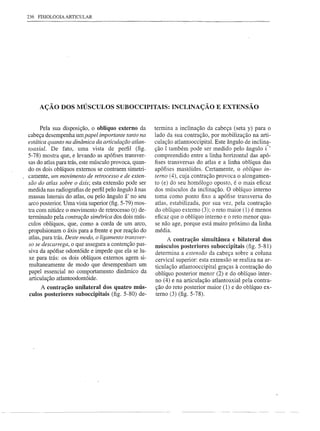 236 FISIOLOGIA ARTICULAR




    AÇÃO DOS MÚSCULOS SUBOCCIPITAIS: INCLINAÇÃO E EXTENSÃO


    Pela sua disposição, o oblíquo externo da         termina a inclinação da cabeça (seta y) para o
cabeça desempenha um papel importante tanto na        lado da sua contração, por mobilização na arti-
estática quanto na dinâmica da articulação atlan-     culação atlantooccipital. Este ângulo de inclin~-
toaxial. De fato, uma vista de perfil (fig.           ção í também pode ser medido pelo ângulo i '
5-78) mostra que, e levando as apófises transver-     compreendido entre a linha horizontal das apó-
sas do atlas para trás, este músculo provoca, quan-   fises transversas do atlas e a linha oblíqua das
do os dois oblíquos externos se contraem simetri-     apófises mastóides. Certamente, o oblíquo in-
camente, um movimento de retrocesso e de exten-       terno (4), cuja contração provoca o alongamen-
são do atlas sobre o áxis; esta extensão pode ser     to (e) do seu homólogo oposto, é o mais eficaz
medida nas radiografias de perfil pelo ângulo â nas   dos músculos da inclinação. O oblíquo interno
massas laterais do atlas, ou pelo ângulo â' no seu    toma como ponto fixo a apófise transversa do
arco posterior. Uma vista superior (fig. 5-79) mos-   atlas, estabilizada, por sua vez, pela contração
tra com nitidez o movimento de retrocesso (r) de-     do oblíquo externo (3); o reto maior (1) é menos
terminado pela contração simétrica dos dois mús-      eficaz que o oblíquo interno e o reto menor qua-
culos oblíquos, que, como a corda de um arco,         se não age, porque está muito próximo da linha
propulsionam o áxis para a frente e por reação do     média.
atlas, para trás. Deste modo, o ligamento transver-         A contração simultânea e bilateral dos
so se descarrega, o que assegura a contenção pas-     músculos posteriores suboccipitais (fig. 5-81)
siva da apófise odontóide e impede que ela se lu-     determina a extensão da cabeça sobre a coluna
xe para trás: os dois oblíquos externos agem si-      cervical superior: esta extensão se realiza na ar-
multaneamente de modo que desempenham um              ticulação atlantooccipital graças à contração do
papel essencial no comportamento dinâmico da          oblíquo posterior menor (2) e do oblíquo inter-
articulação atlantoodontóide.                         no (4) e na articulação atlantoaxial pela contra-
     A contração unilateral dos quatro mús-           ção do reto posterior maior (1) e do oblíquo ex-
culos posteriores suboccipitais (fig. 5-80) de-       terno (3) (fig. 5-78).
 