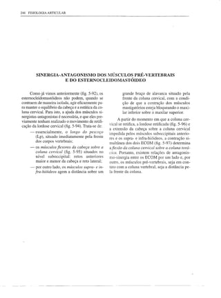 246   FISIOLOGIA   ARTICULAR




          SINERGIA-ANTAGONISMO    DOS lVIÚSCULOS PRÉ- VERTEBRAIS
                      E DO ESTERNOCLEIDOlVIASTÓIDEO


     Como já vimos anteriormente (fig. 5-92), os               grande braço de alavanca situado pela
estemocleidomastóideos não podem, quando se                    frente da coluna cervical, com a condi-
contraem de maneira isolada, agir eficazmente pa-              ção de que a contração dos músculos
ra manter o equilíbrio da cabeça e a estática da co-           mastigatórios esteja bloqueando o maxi-
luna cervical. Para isto, a ajuda dos músculos si-             lar inferior sobre o maxilar superior.
nergistas-antagonistas é necessária, e que eles pre-
viamente tenham realizado o movimento de retifi-             A partir do momento em que a coluna cer-
                                                       vical se retifica, a lordose retificada (fig. 5-96) e
cação da lordosecervical (fig. 5-94). Trata-se de:
                                                       a extensão da cabeça sobre a coluna cervical
     - essencialmente, o longo do pescoço              impedida pelos músculos suboccipitais anterio-
         (Lp), situado imediatamente pela frente       res e os supra- e infra-hióideos, a contração si-
         dos corpos vertebrais;                        multânea dos dois ECOM (fig. 5-97) determina
     - os músculos flexores da cabeça sobre a          aflexão da coluna cervical sobre a coluna torá-
         coluna cervical (fig. 5-95) situados no       cica. Portanto, existem relações de antagonis-
         nível suboccipital: retos anteriores          mo-sinergia entre os ECOM por um lado e, por
         maior e menor da cabeça e reto lateral;       outro, os músculos pré-vertebrais, seja em con-
     - por outro lado, os músculos supra- e in-        tato com a coluna vertebral, seja a distância pe-
        fra-hióideos agem a distância sobre um         la frente da coluna.
 
