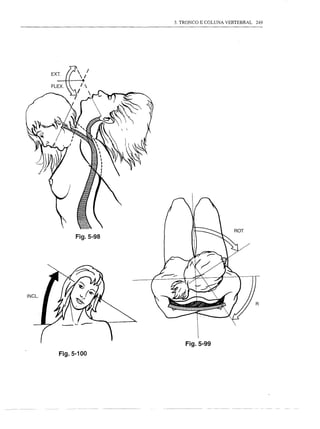 3. TRONCO E COLUNA VERTEBRAL 249




      Fig.5-98




                     Fig.5-99
Fig. 5-100
 