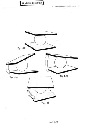 UO -   SISTEMA DE   BI8110lHlS

                                                       3. TRONCO E COLUNA VERTEBRAL   33




           Fig.1-27




                                                                Fig.1-29
Fig.1-28




                                            Fig.1-30
 
