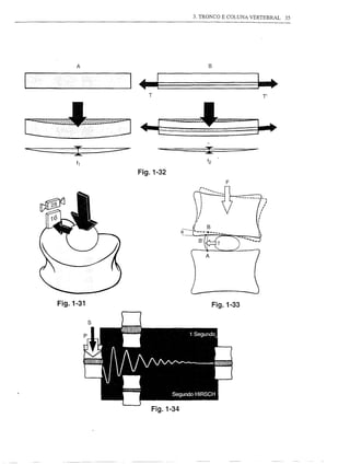 3. TRONCO E COLUNA VERTEBRAL   3S




            A                                                   B



1                                      1   ~          .                         ~

                                               T                                    T'




---        ~
                     -:::=;::::::::-
                                                   --=======I=======:=o=--

                                           Fig.1-32
                                                                     F




      Fig.1-31                                                   Fig.1-33

                 s




                                               Fig.1-34
 