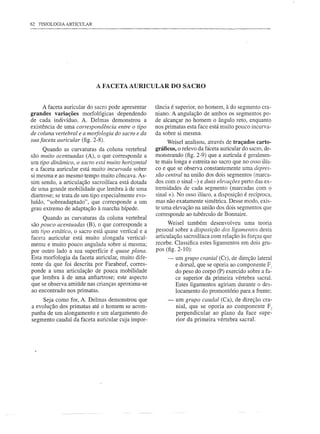 62 FISIOLOGIA ARTICULAR




                           A FACETA AURICULAR DO SACRO


     A faceta auricular do sacro pode apresentar    tância é superior, no homem, à do segmento cra-
grandes variações morfológicas dependendo           niano. A angulação de ambos os segmentos po-
de cada indivíduo. A. Delmas demonstrou a           de alcançar no homem o ângulo reto, enquanto
existência de uma correspondência entre o tipo      nos primatas esta face está muito pouco incurva-
de coluna vertebral e a morfologia do sacro e da    da sobre si mesma:
sua faceta auricular (fig. 2-8).                         Weisel analisou, através de traçados carto-
      Quando as curvaturas da coluna vertebral      gráficos, o relevo da fáceta auricular do sacro, de-
são muito acentuadas (A), o que corresponde a       monstrando (fig. 2-9) que a aurícula é geralmen-
um tipo dinâmico, o sacro está muito horizontal     te mais longa e estreita no sacro que no osso ilía-
e a faceta auricular está muito incurvada sobre     co e que se observa constantemente uma depres-
si mesma e ao mesmo tempo muito côncava. As-        são central na união dos dois segmentos (marca-
sim sendo, a articulação sacroilíaca está dotada    dos com o sinal-) e duas elevações perto das ex-
de uma grande mobilidade que lembra à de uma        tremidades de cada segmento (marcadas com o
diartrose; se trata de um tipo especialmente evo-   sinal +). No osso ilíaco, a disposição é recíproca,
luído, "sobreadaptado", que corresponde a um        mas não exatamente simétrica. Desse modo, exis-
grau extremo de adaptação à marcha bípede.          te uma elevação na união dos dois segmentos que
                                                    corresponde ao tubérculo de Bonnaire.
     Quando as curvaturas da coluna vertebral
são pouco acentuadas (B), o que corresponde a             Weisel também desenvolveu uma teoria
um tipo estático, o sacro está quase vertical e a   pessoal sobre a disposição dos ligamentos desta
faceta auricular está muito alongada vertical-      articulação sacroilíaca com relação às forças que
mente e muito pouco angulada sobre si mesma;        recebe. Classifica estes ligamentos em dois gru-
por outro lado a sua superfície é quase plana.      pos (fig. 2-10):
Esta morfologia da faceta auricular, muito dife-         -   um grupo cranial (Cr), de direção lateral
rente da que foi descrita por Farabeuf, corres-              e dorsal, que se oporia ao componente FI
ponde a uma articulação de pouca mobilidade                  do peso do corpo (P) exercido sobre a fa-
que lembra à de uma anfiartrose; este aspecto                ce superior da primeira vértebra sacral.
que se observa amiúde nas crianças aproxima-se               Estes ligamentos agiriam durante o des-
ao encontrado nos primatas.                                  locamento do promontório para a frente;
     Seja como for, A. Delmas demonstrou que             -   um grupo caudal (Ca), de direção cra-
a evolução dos primatas até o homem se acom-                 nial, que se oporia ao componente F 2
panha de um alongamento e um alargamento do                  perpendicular ao plano da face supe-
segmento caudal da faceta auricular cuja impor-              rior da primeira vértebra sacral.
 